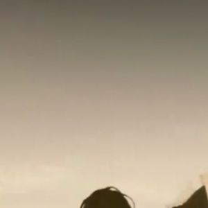 Meet your Posher, Omari